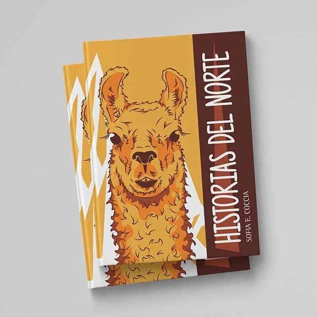 Diseño de libro con ilustración - Diseñador Gráfico Agustin Moran - Argentina
