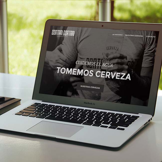 Diseño y Programación de Página Web - Diseñador Web Agustin Moran - Argentina