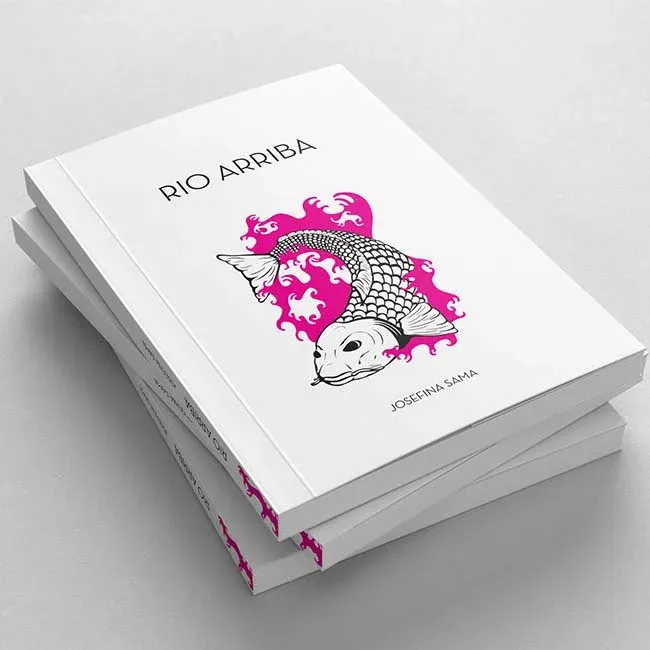 Diseño de libro con ilustración - Diseñador Gráfico Agustin Moran - Argentina